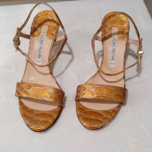 Beautiful golden shoes